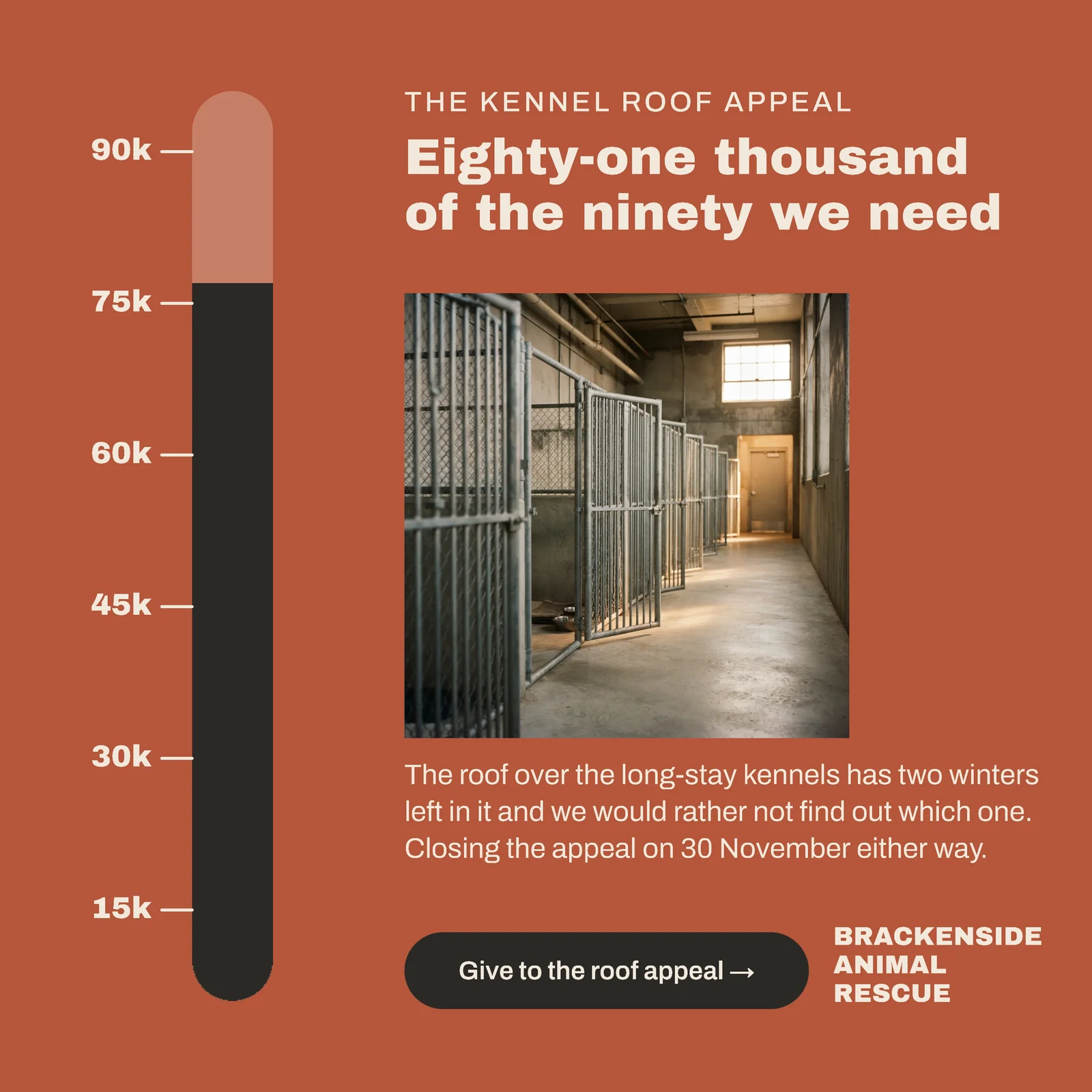 Terracotta Thermometer Animal Rescue Fundraiser Facebook Ad — 1:1 Facebook ad template