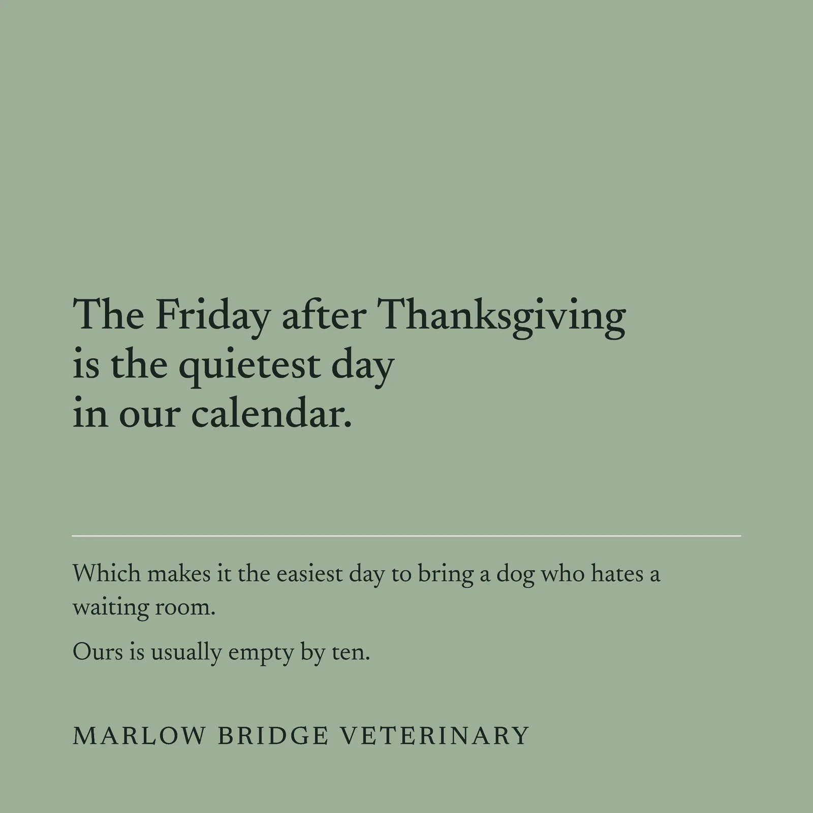 Veterinary Quiet Day Black Friday Facebook Post — 1:1 Facebook post template