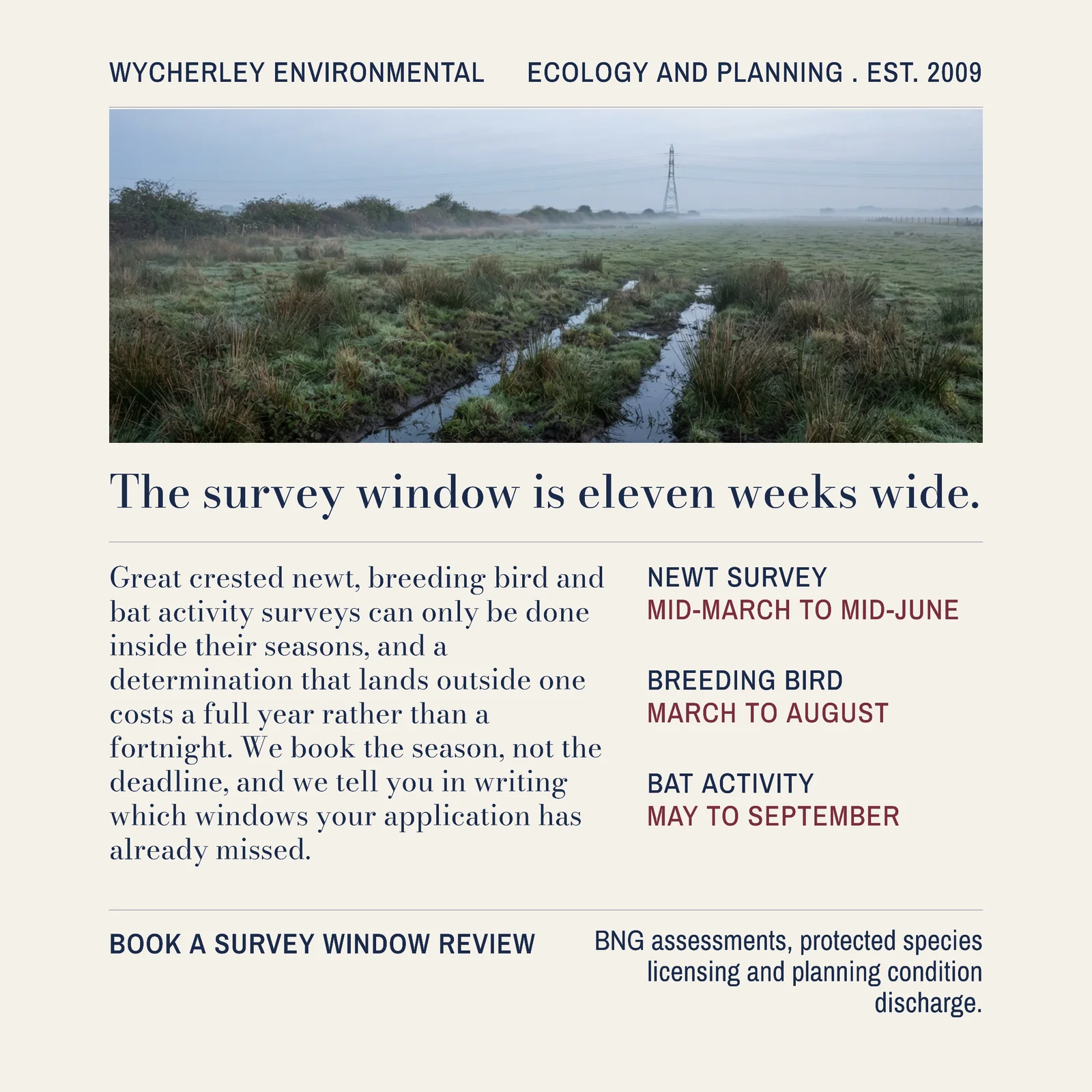 Ecology Survey Printed Margin LinkedIn Ad — 1:1 LinkedIn ad template