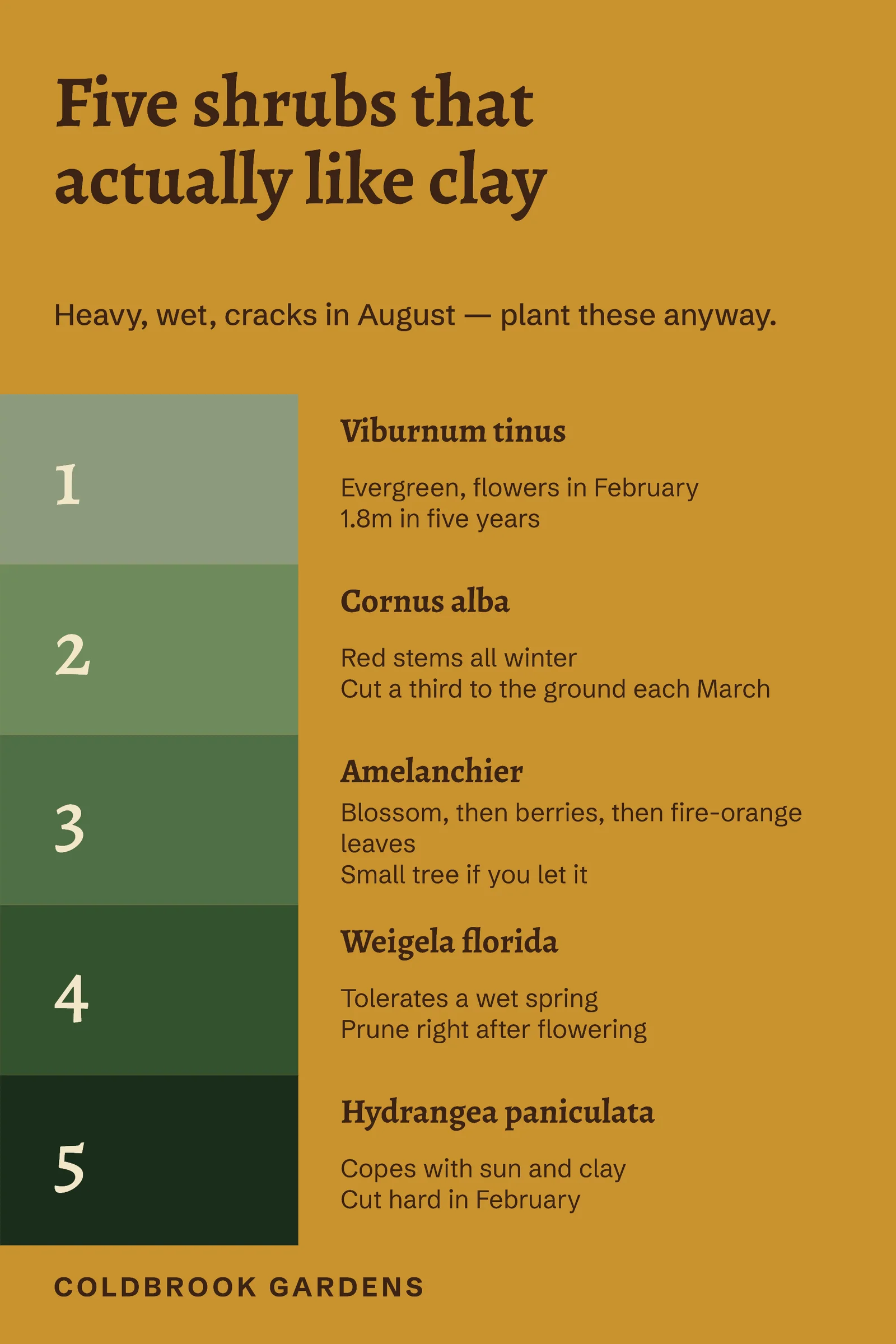 Shrubs For Clay Soil Pinterest Pin — 2:3 Pinterest pin template