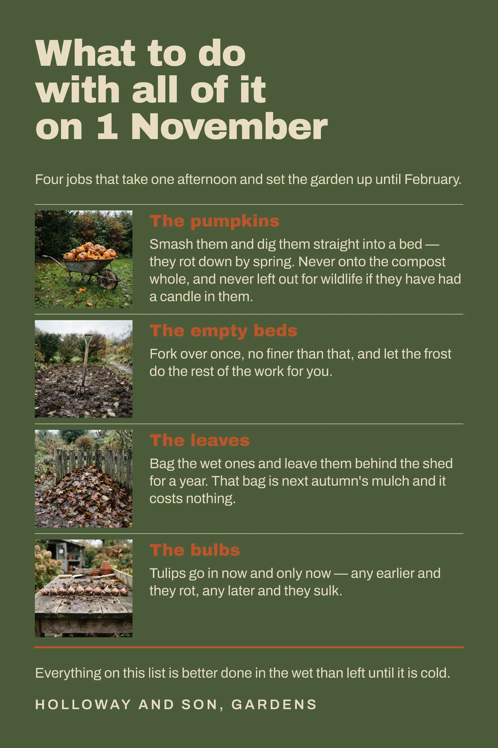 Moss Photo Bands Landscaping After Halloween Pinterest Pin — 2:3 Pinterest pin template
