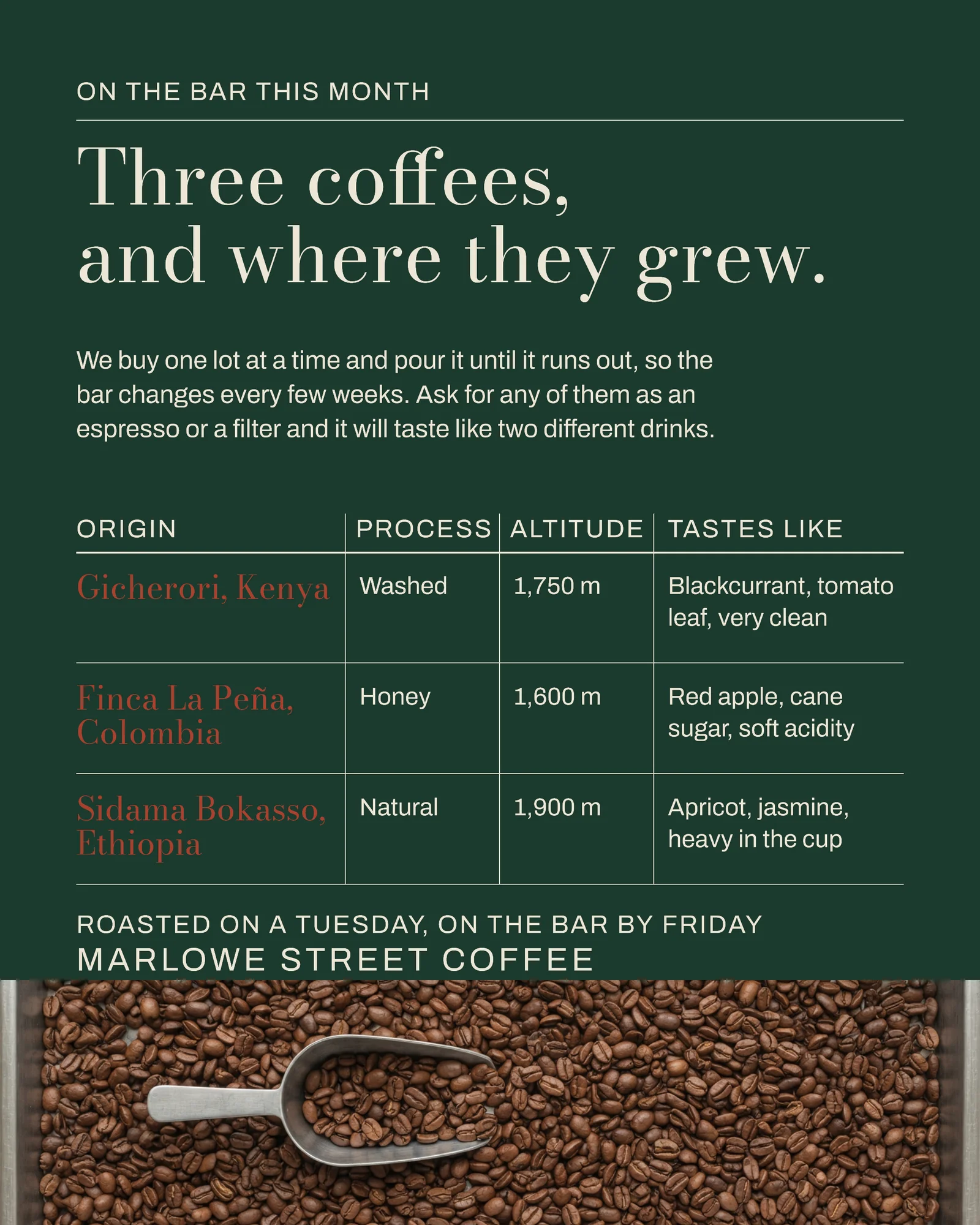 Forest Brick Tasting Ledger Cafe Monthly Coffee Instagram Post — 4:5 Instagram post template